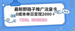 全新歪门邪道营销推广上网卡，一张200-300，成本低，0成本费单日转现好几张-番茄副业网