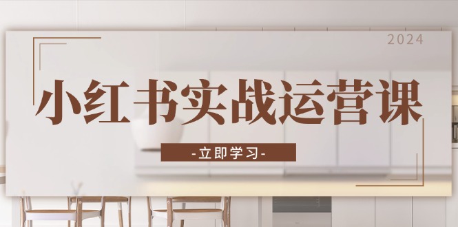 （13238期）小红书实战运营课：从开通店铺到直播话术，打造爆款笔记与高效直播-番茄副业网