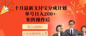 11月全新支付宝钱包分为方案，运单号日入200 ，引流矩阵程序后，新手也可以快速上手-番茄副业网