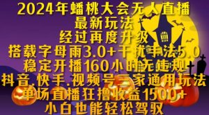 2024年蟠桃大会无人直播全新游戏玩法,平稳播出160钟头无违反规定,抖音视频、快手视频、微信视频号三家通用性游戏玩法【揭密】-番茄副业网