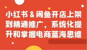 小红书&闲鱼开店上架到精通推广,系统化提升和掌握电商蓝海思维-番茄副业网