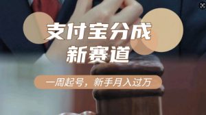 支付宝钱包分为方案，新生态，运用刑侦纪实短视频，一周养号，新手入门也可以月入了万-番茄副业网