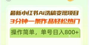 （13182期）最新小红书Ai洗稿变现项目 3分钟一条作品轻松热门 操作简单，单号日入800+-番茄副业网