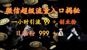 手机微信非常流量来源揭密：一小时引流方法 99   自主创业粉，日增粉 999-番茄副业网