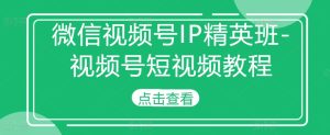 视频号IP精英班-微信视频号短视频教程-番茄副业网