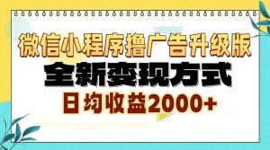 （13186期）微信小程序撸广告升级版，全新变现方式，日均收益2000+-番茄副业网