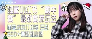 最新小红书截流玩法 独家截中截 单号成本几块钱 日引500+CY粉JZ粉-番茄副业网