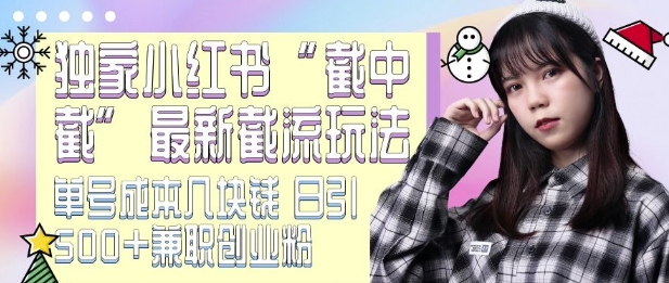 最新小红书截流玩法 独家截中截 单号成本几块钱 日引500+CY粉JZ粉-番茄副业网