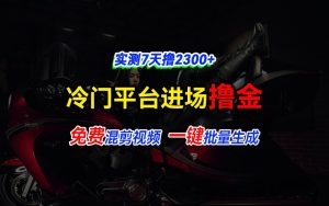 全新升级小众服务平台vivo短视频，迅速完全免费入场搞米，根据混剪视频一键批量生成，评测7天撸2300-番茄副业网