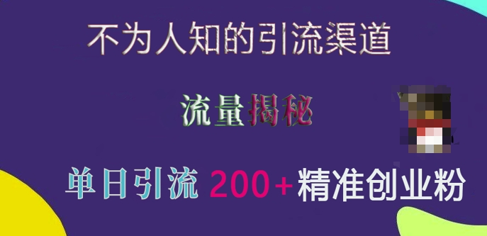 不为人知的引流渠道，流量揭秘，实测单日引流200+精准创业粉【揭秘】-番茄副业网