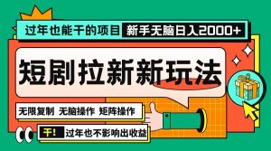 （13656期）过年也能干的项目，2024年底最新短剧拉新新玩法，批量无脑操作日入2000+！-番茄副业网