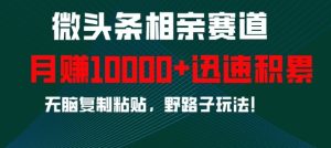 微头条相亲赛道，迅速积累，无脑复制粘贴，野路子玩法，月入1w-番茄副业网