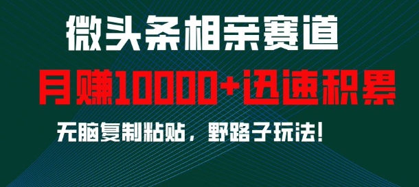 微头条相亲赛道，迅速积累，无脑复制粘贴，野路子玩法，月入1w-番茄副业网
