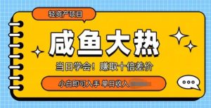 咸鱼大热轻资产类项目,当日学会,赚取十倍差价,小白即可入手-番茄副业网