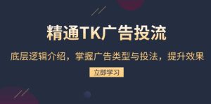 （13641期）精通TK广告投流：底层逻辑介绍，掌握广告类型与投法，提升效果-番茄副业网