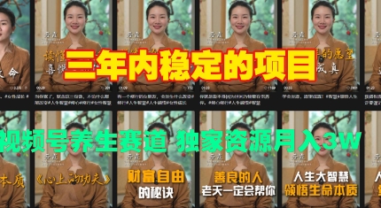 三年内稳定的项目 视频号养生赛道 独家资源月入过W-番茄副业网