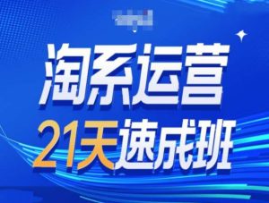 淘系运营21天速成班第34期-搜索最新玩法和25年搜索趋势-番茄副业网
