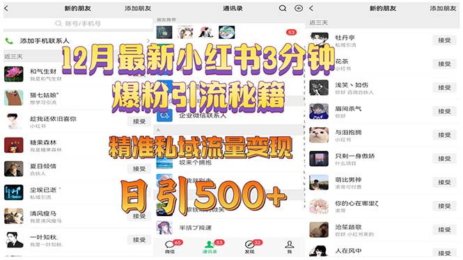 （13653期）12月最新小红书3分钟爆粉引流秘籍 精准私域流量变现 日引500+-番茄副业网