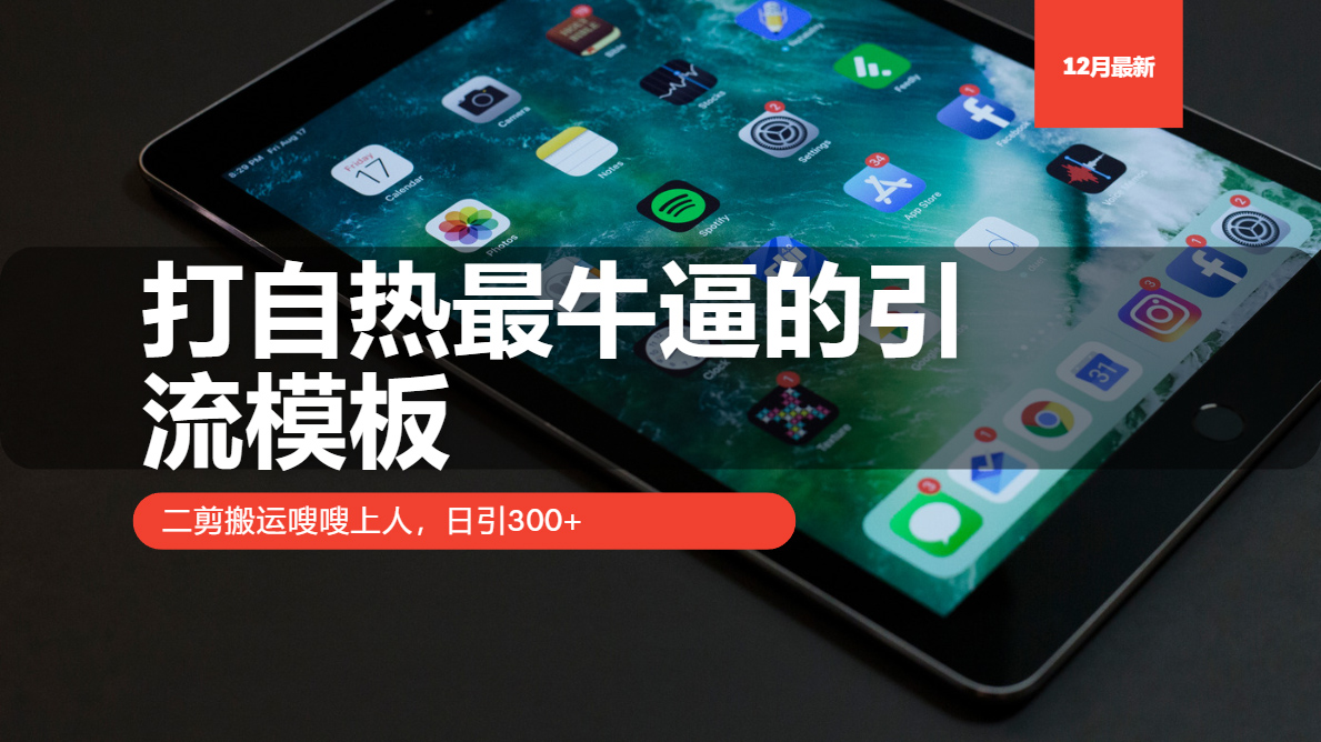 （13654期）打自热最牛逼的引流模板，二剪搬运嗖嗖上人，日引300+-番茄副业网