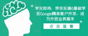 学完即用，带你实操0基础学会Google精准客户开发，成为外贸业务高手-番茄副业网