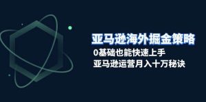 亚马逊海外掘金队对策，0根基也可以快速入门，亚马逊运营月入十万窍门-番茄副业网