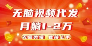 无脑视频代发,月躺1W,无需剪辑,直接上手-番茄副业网