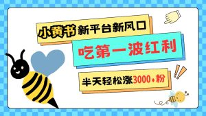 小黄书强势来袭，新渠道新蓝海，管理方法比较宽松，大半天轻轻松松涨3000粉，第一波收益等着你过来吃-番茄副业网