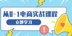 (13594期)从零做电商实战课程,教你如何获取访客、选品布局,搭建基础运营团队-番茄副业网