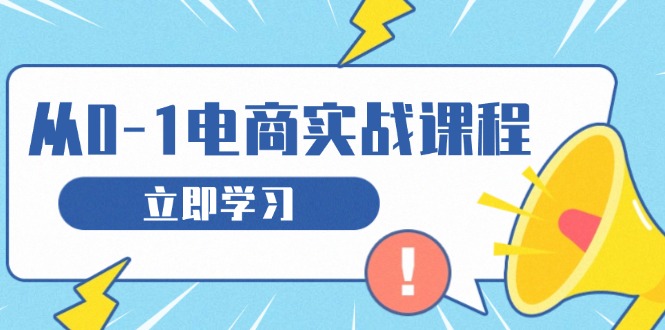 （13594期）从零做电商实战课程，教你如何获取访客、选品布局，搭建基础运营团队-番茄副业网
