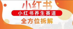 小红书养生赛道全方位玩法拆解,小白可做,轻松月入过w-番茄副业网