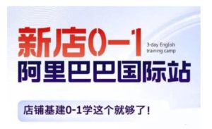 阿里巴巴国际站新店0-1，店铺基建0-1学这个就够了-番茄副业网