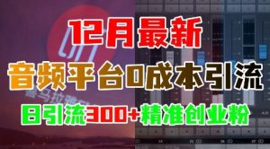 12月最新:音频平台0成本引流,日引流300+精准创业粉-番茄副业网