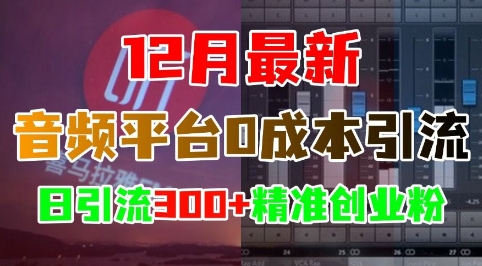 12月最新：音频平台0成本引流，日引流300+精准创业粉-番茄副业网