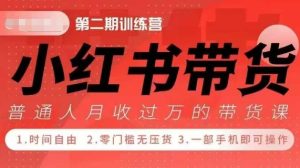 小Red书带货42天训练营 2.0版，宝妈+自由职+上班族+大学生，提高副业收入的大红利项目-番茄副业网