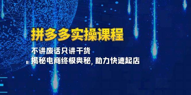 拼多多平台实操课程：不谈空话只谈干货知识, 揭密电子商务最终秘密,助推迅速出单-番茄副业网