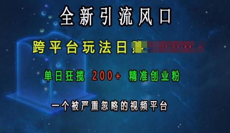 全新引流风口，跨平台玩法日入上k，单日狂揽200+精准创业粉，一个被严重忽略的视频平台-番茄副业网