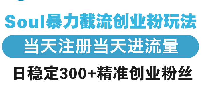 （13935期）Soul暴力截流创业粉玩法，当天注册当天进流量，日稳定300+精准创业粉丝-番茄副业网