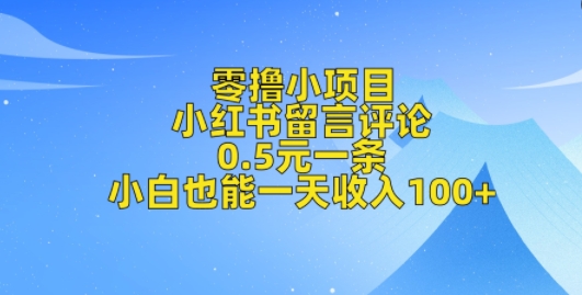 零撸小项目，小红书留言评论，0.5元一条，小白也能一天收入100+-番茄副业网