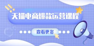 （13910期）天猫电商爆款运营课程，爆款卖点提炼与流量实操，多套模型全面学习-番茄副业网