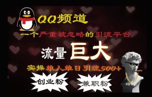 QQ最新引流方法,流量巨大,实操单日引流500+创业粉、兼职粉-番茄副业网