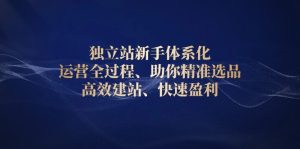 （13914期）独立站新手体系化 运营全过程，助你精准选品、高效建站、快速盈利-番茄副业网