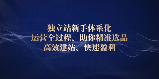 （13914期）独立站新手体系化 运营全过程，助你精准选品、高效建站、快速盈利-番茄副业网