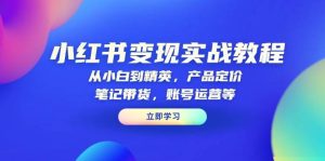 小红书变现实战教程：从小白到精英，产品定价，笔记带货，账号运营等-番茄副业网