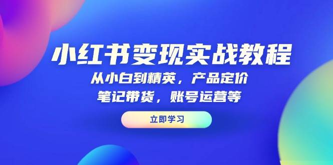 小红书变现实战教程：从小白到精英，产品定价，笔记带货，账号运营等-番茄副业网