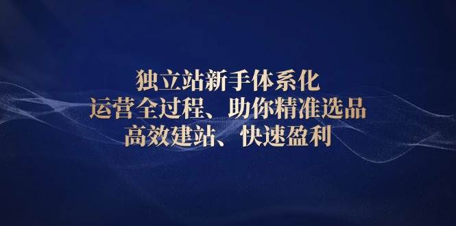 独立站新手体系化 运营全过程，助你精准选品、高效建站、快速盈利-番茄副业网