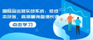 国际站运营实战系统：低成本获客，高质量询盘增长课-番茄副业网