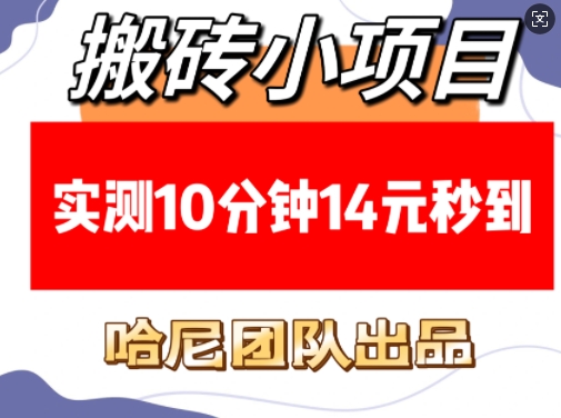 搬砖小项目，实测10分钟14元秒到，每天稳定几张(赠送必看稳定)-番茄副业网