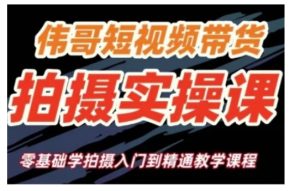 短视频带货拍摄实操课，零基础学拍摄入门到精通教学-番茄副业网
