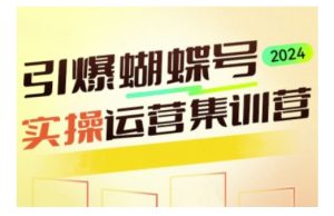引爆蝴蝶号实操运营，助力你深度掌握蝴蝶号运营，实现高效实操，开启流量变现之路-番茄副业网