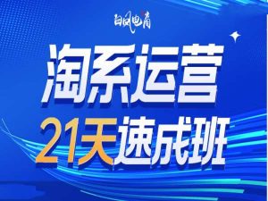 淘系运营21天速成班35期，年前最后一波和2025方向-番茄副业网
